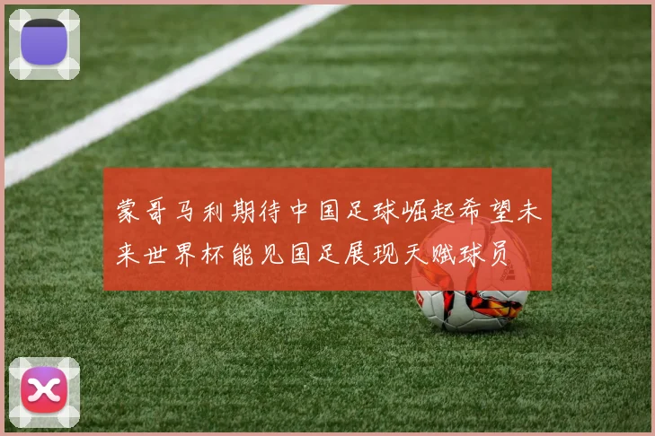 蒙哥马利期待中国足球崛起希望未来世界杯能见国足展现天赋球员
